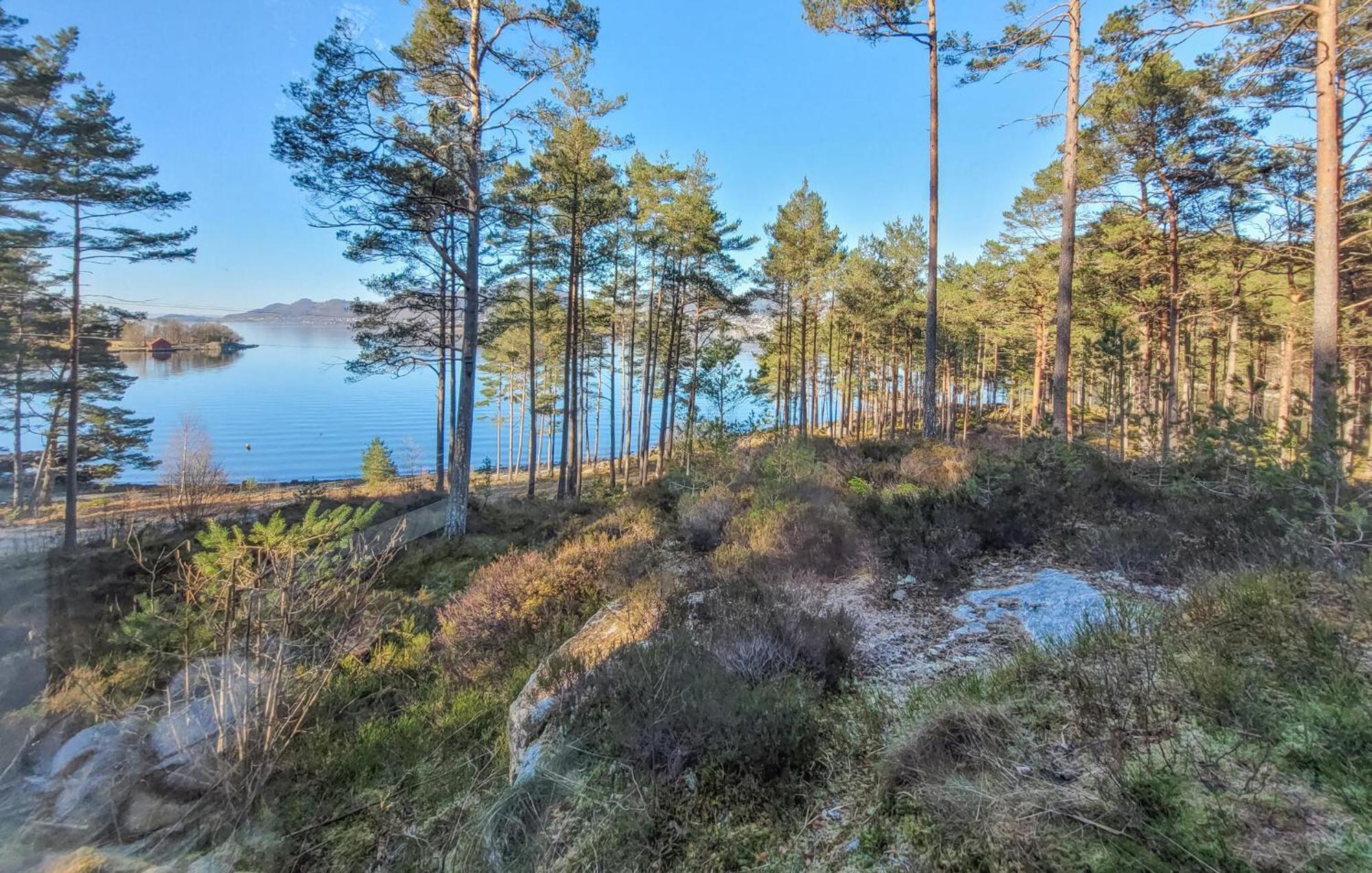 Gorgeous Home In Jorpeland With House Sea View Eksteriør bilde